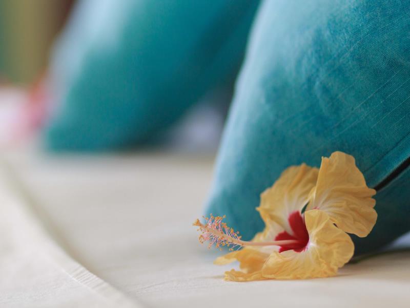 Coco Blanche Villas Anse Royale Ngoại thất bức ảnh